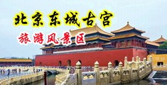 操比操出水视频中国北京-东城古宫旅游风景区